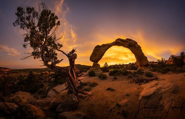 Cox-Canyon-Arch-SS-Pano